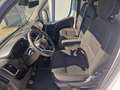 Fiat Ducato Ducato 35 Maxi L4H2*VIELE EXTRAS NETTO €16900.- Weiß - thumbnail 9