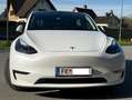 Tesla Model Y Model Y AWD 79kWh Performance Performance Weiß - thumbnail 13