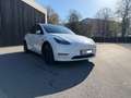 Tesla Model Y Model Y AWD 79kWh Performance Performance Weiß - thumbnail 7