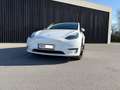Tesla Model Y Model Y AWD 79kWh Performance Performance Weiß - thumbnail 1