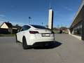 Tesla Model Y Model Y AWD 79kWh Performance Performance Weiß - thumbnail 5