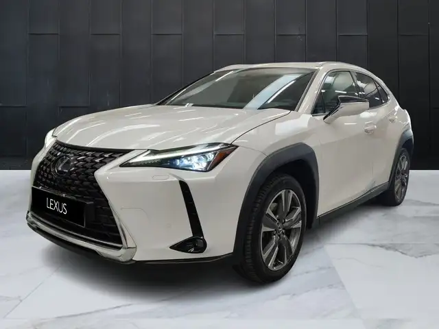 Lexus UX 300e ELETTRICA 54,3kWh  Luxury IVA ESPOSTA