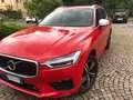 Volvo XC60 XC60 2.0 d4 R-design My 2019 Rosso - thumbnail 12