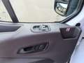 Ford Transit Kasten 350 L2 Trend Blanc - thumbnail 19