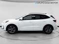 Ford Kuga 1.5 EcoBoost ST-Line X FWD 150 Blanco - thumbnail 2