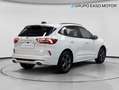 Ford Kuga 1.5 EcoBoost ST-Line X FWD 150 Blanco - thumbnail 5