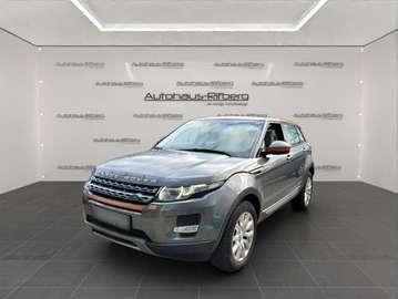 9-G Pure PanoD/BI-Xe/Leder/18