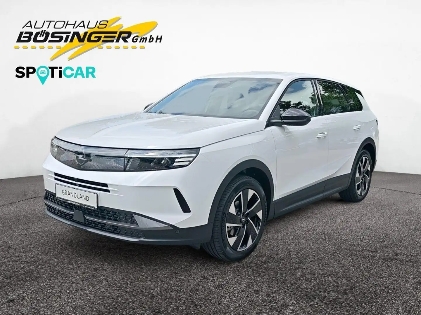 Opel Grandland 1.2 Mild-Hybrid Edition SHZ/LHZ/AHK Blanc - 1