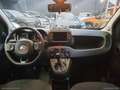 Fiat Panda 1.0 FireFly S&S Hybrid City Cross Verde - thumbnail 10