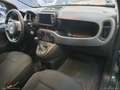Fiat Panda 1.0 FireFly S&S Hybrid City Cross Verde - thumbnail 9