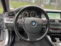 BMW 530 d Limousine HEAD UP/KAMERA/WINTERPAKET/LED!! Plateado - thumbnail 21
