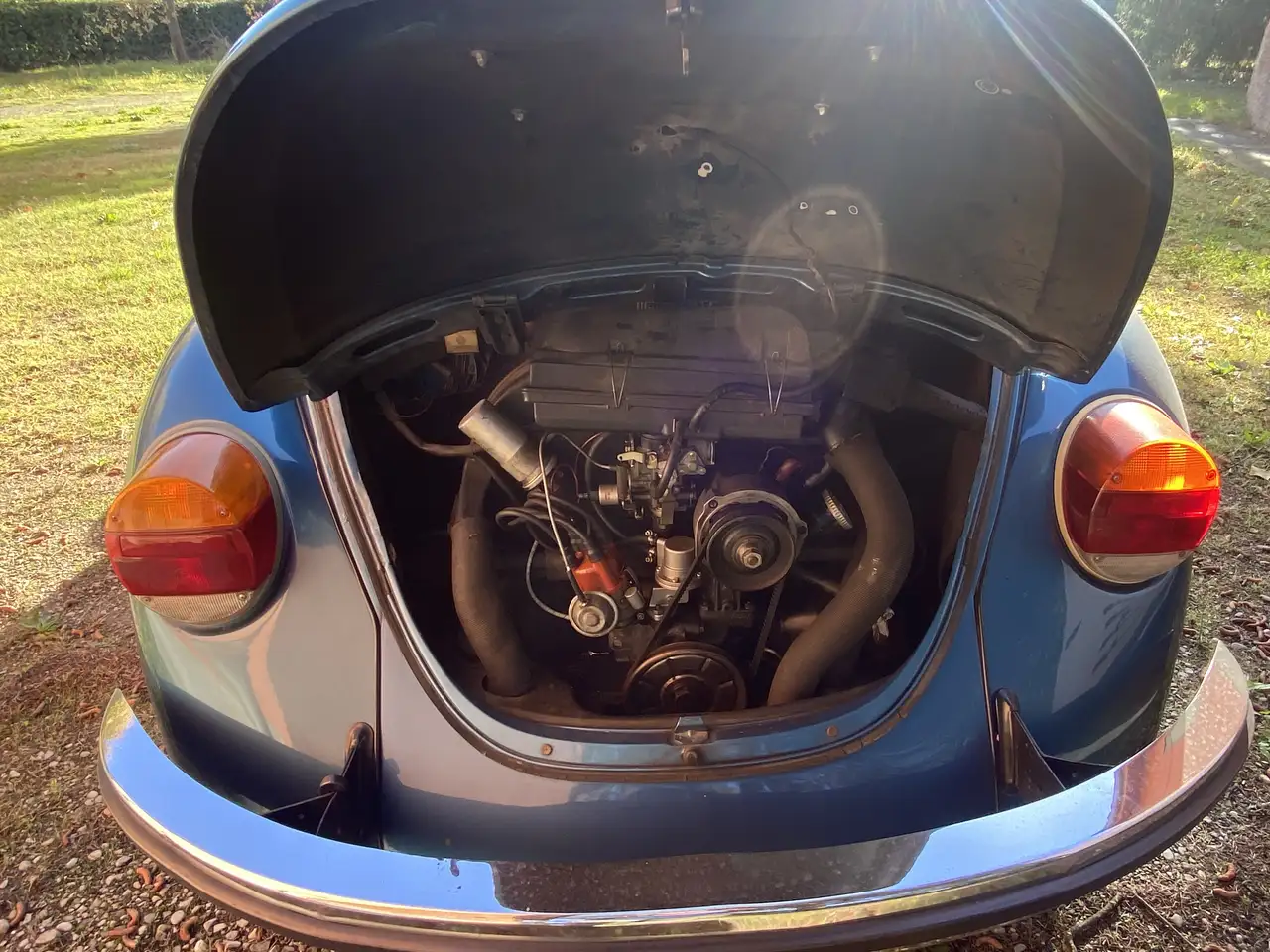 Volkswagen Maggiolino Asi, foto 4