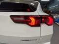 BMW X2 xdrive 20d 48V MSport Pro auto Bianco - thumbnail 9