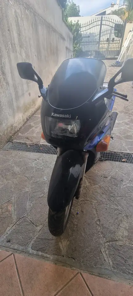 Kawasaki ZZR 250