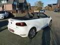 Volkswagen Golf Cabriolet 1.2 TSI BlueMotion CABRIOLET *** AIRCO-ELECTR.RAME Blanc - thumbnail 4