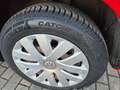 Volkswagen Polo Polo 5p 1.2 Comfortline 70cv Rosso - thumbnail 4