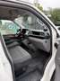 Volkswagen T6.1 Transporter 2.0 TDI BlueMotion 150CV 6 Marce Bianco - thumbnail 12