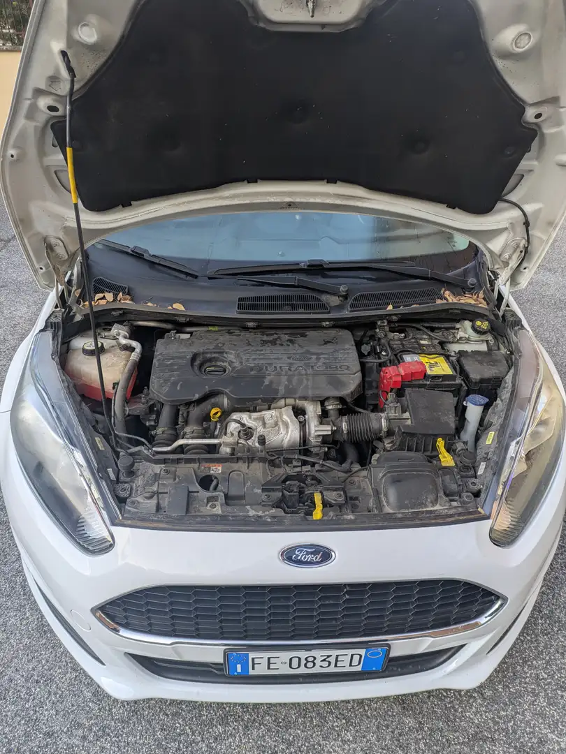 Ford Fiesta 1.5 TDCi 75 CV Bussines Bianco - 2