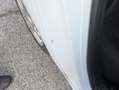 Ford Fiesta 1.5 TDCi 75 CV Bussines Bianco - thumbnail 14