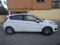 Ford Fiesta 1.5 TDCi 75 CV Bussines Bianco - thumbnail 6