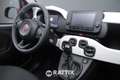 Fiat Panda Pandina 1.0 Firefly Hybrid 70CV Cross Rouge - thumbnail 19