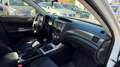 Subaru Impreza Impreza Hatchback 2,0D Classic Classic Weiß - thumbnail 6