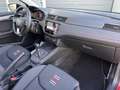 SEAT Ibiza 5D 1.0 TSI FR | Pano | LED | Camera | Sensoren V+A Rouge - thumbnail 14