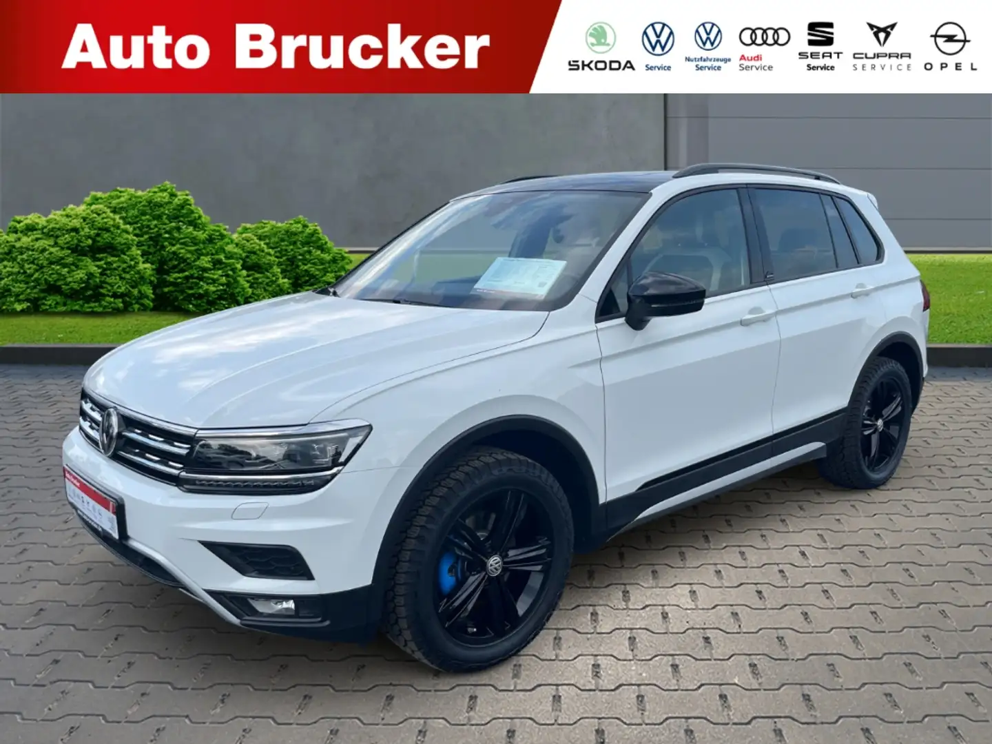 Volkswagen Tiguan OFFROAD 4Motion 2.0 TDI+AHK+Navi+Standheizung Weiß - 1