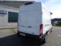Ford Transit E 350 L3 Trend 184 PS Weiß - thumbnail 5