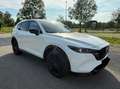 Mazda CX-5 CX-5 HOMURA 4x4  6J Garantie 8-fach Navi MatrixLE Blanco - thumbnail 6