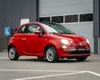 Fiat 500C 1.2 Cabrio I Airco I PDC I Rood - thumbnail 12
