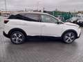 Peugeot 3008 GT Line/GPS/CAMERA/CARPLAY/GARANTIE.12.MOIS/ Blanco - thumbnail 8