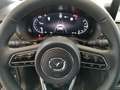 Mazda CX-60 AWD HOMURA PLUS BLOP MJ/2026 Grau - thumbnail 19