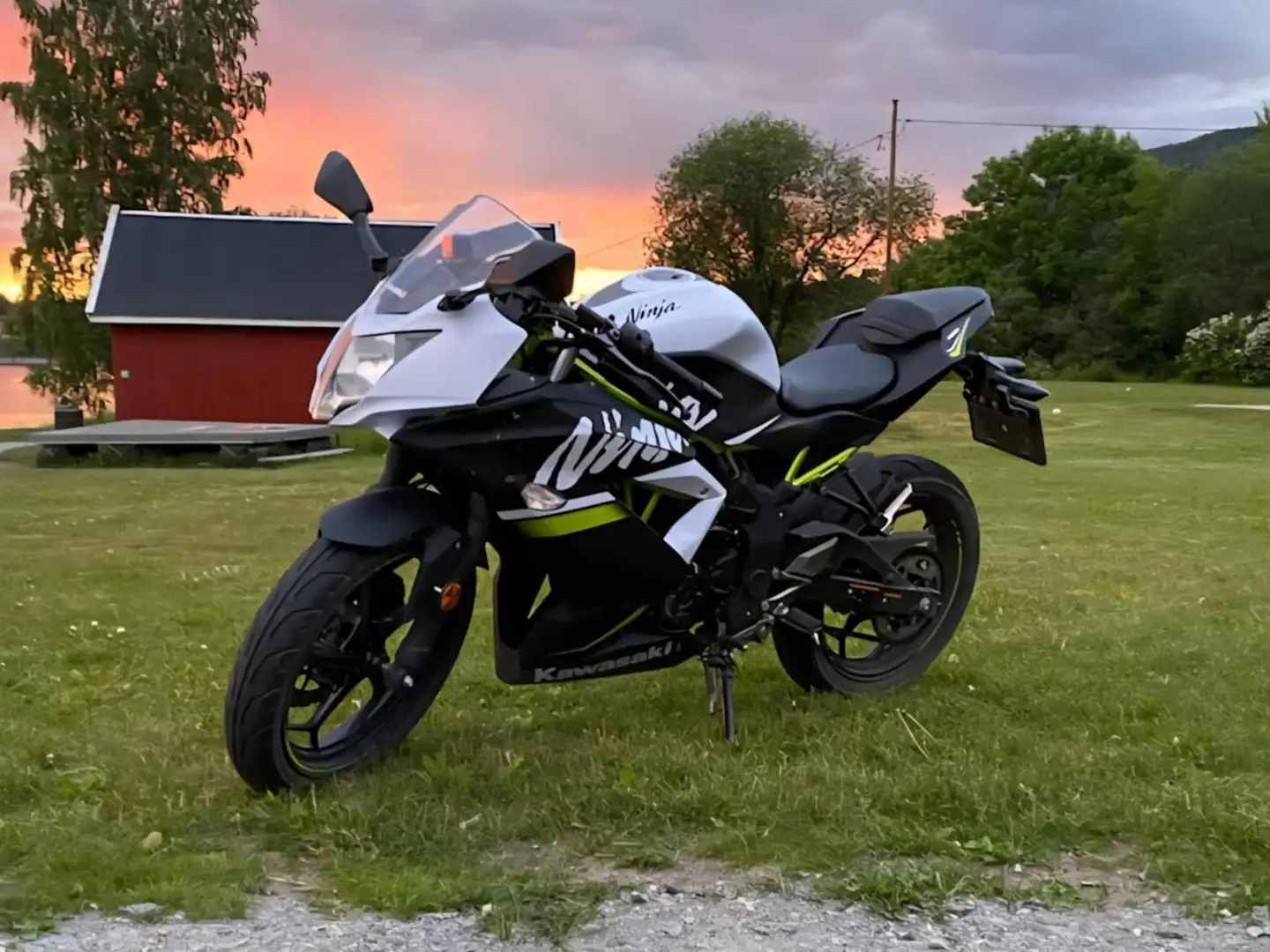 Kawasaki Ninja 125 Limited Edition Bianco - 1