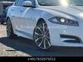 Jaguar XF 3.0 V6 Diesel R-Sport Xen Keyl Kam Facelift Weiß - thumbnail 28