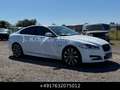 Jaguar XF 3.0 V6 Diesel R-Sport Xen Keyl Kam Facelift Weiß - thumbnail 6