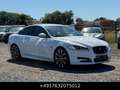 Jaguar XF 3.0 V6 Diesel R-Sport Xen Keyl Kam Facelift Weiß - thumbnail 5