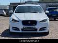 Jaguar XF 3.0 V6 Diesel R-Sport Xen Keyl Kam Facelift Weiß - thumbnail 4