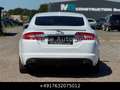 Jaguar XF 3.0 V6 Diesel R-Sport Xen Keyl Kam Facelift Weiß - thumbnail 10