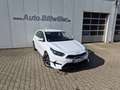 Kia Ceed / cee'd Ceed 5-Türer 1.5 T-GDI (140 PS) ISG DCT7 Spirit Te Weiß - thumbnail 1