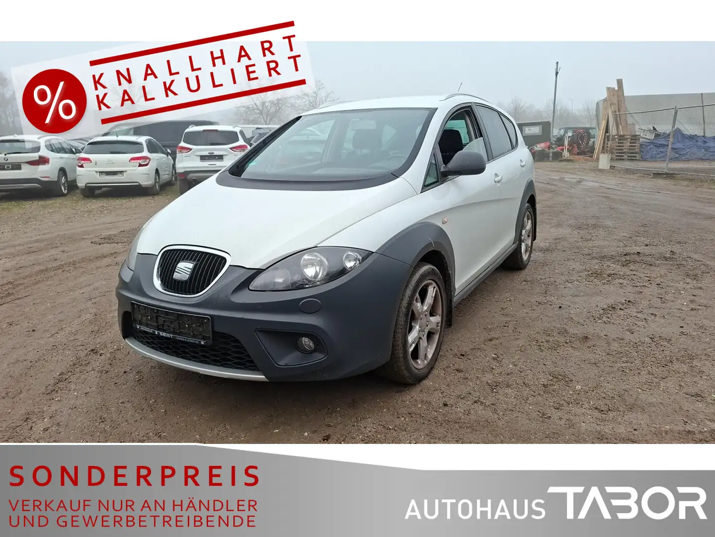 SEAT Altea Freetrack 2.0 TDI 4x4 LM Navi Climatr. GRA Weiß - 1