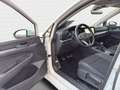 Volkswagen Golf VIII 1.5 TSI ACTIVE*LED*AHK*KAMERA*PDC*SHZ* Blanc - thumbnail 17