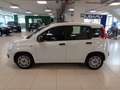 Fiat Panda 1.3 MJT 95 CV S&S Easy Blanco - thumbnail 6