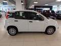 Fiat Panda 1.3 MJT 95 CV S&S Easy Blanco - thumbnail 3