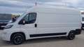Fiat Ducato 2.3 L4H2 *Netto €21.658,-* Weiß - thumbnail 7