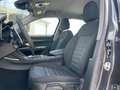 Alfa Romeo Stelvio 2.2 TDI Business RWD 160CV / AUTOCARRO N1 Gris - thumbnail 6
