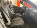 Mercedes-Benz SLK 350 SLK 350 V6 iscritta ASI targa ORO Argent - thumbnail 16
