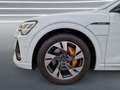 Audi e-tron 50 qu 2x S line MATRIX AHK HuD ACC Kamera bijela - thumbnail 11