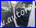 Opel Movano Kühlwagen - Fahrtkühlung bis 2 Grad Weiß - thumbnail 7