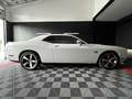 Dodge Challenger Challenger 392 Inaugural Edition ( CANADA ) Alb - thumbnail 4